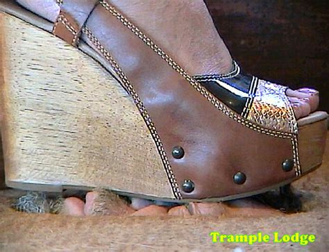 trample lodge|Events and News .